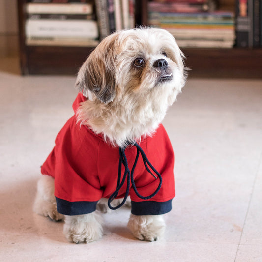 PoochMate Red Dog Sweatshirt