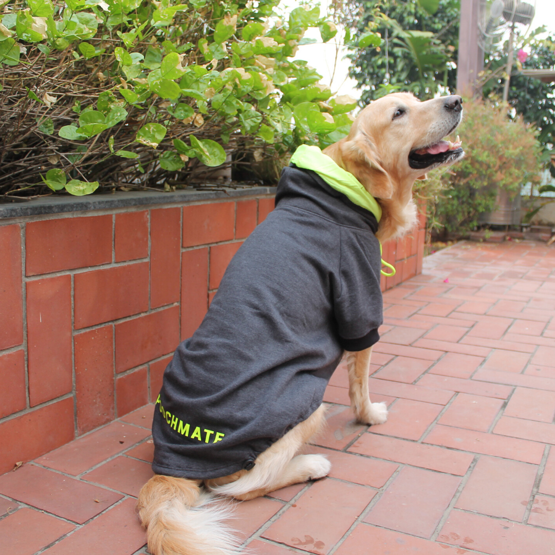 PoochMate Dark Melange Dog Sweatshirt