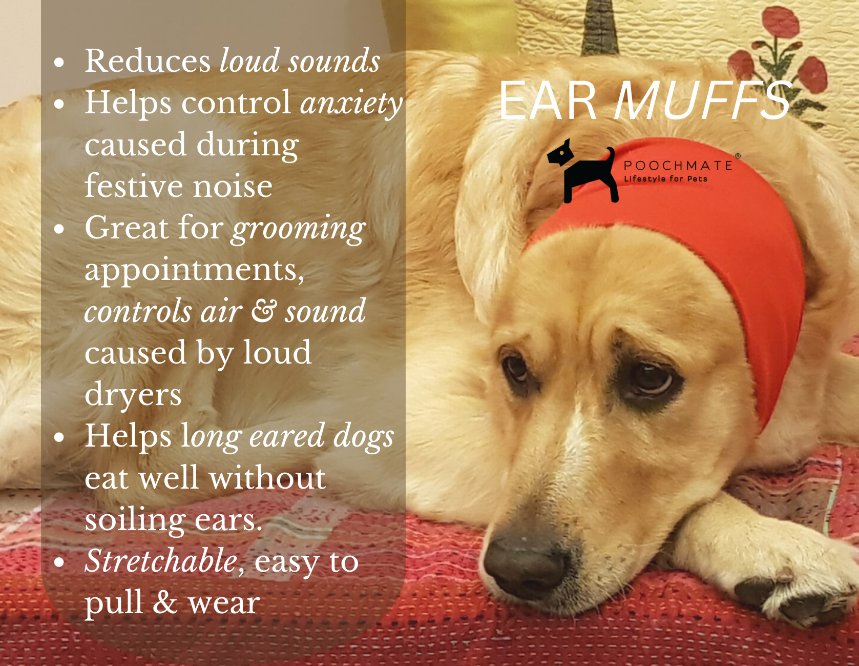 Diwali gift ideas for dogs| Ear muffs for noise cancelling for pets