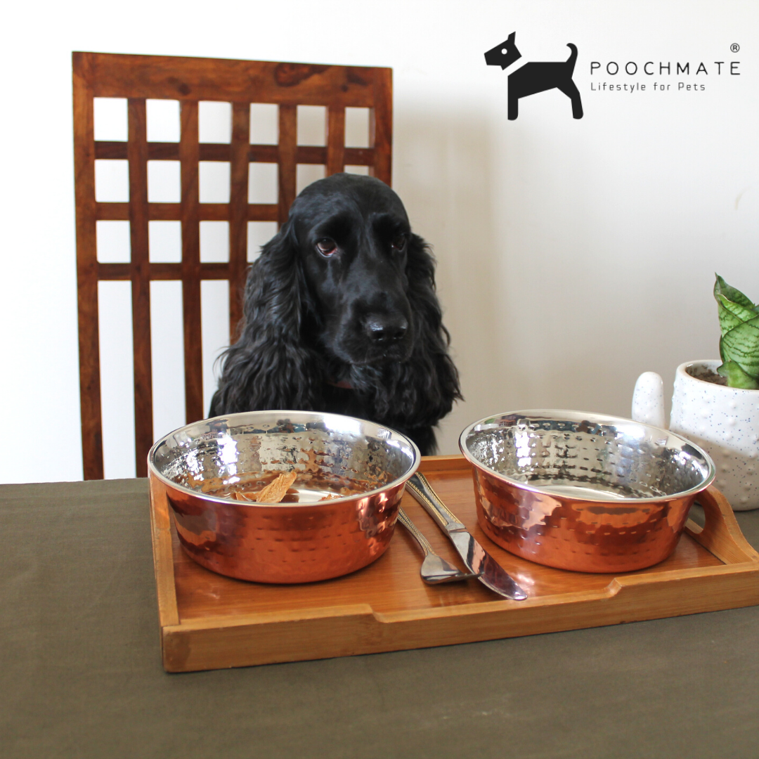 Copper dog food bowls hot sale