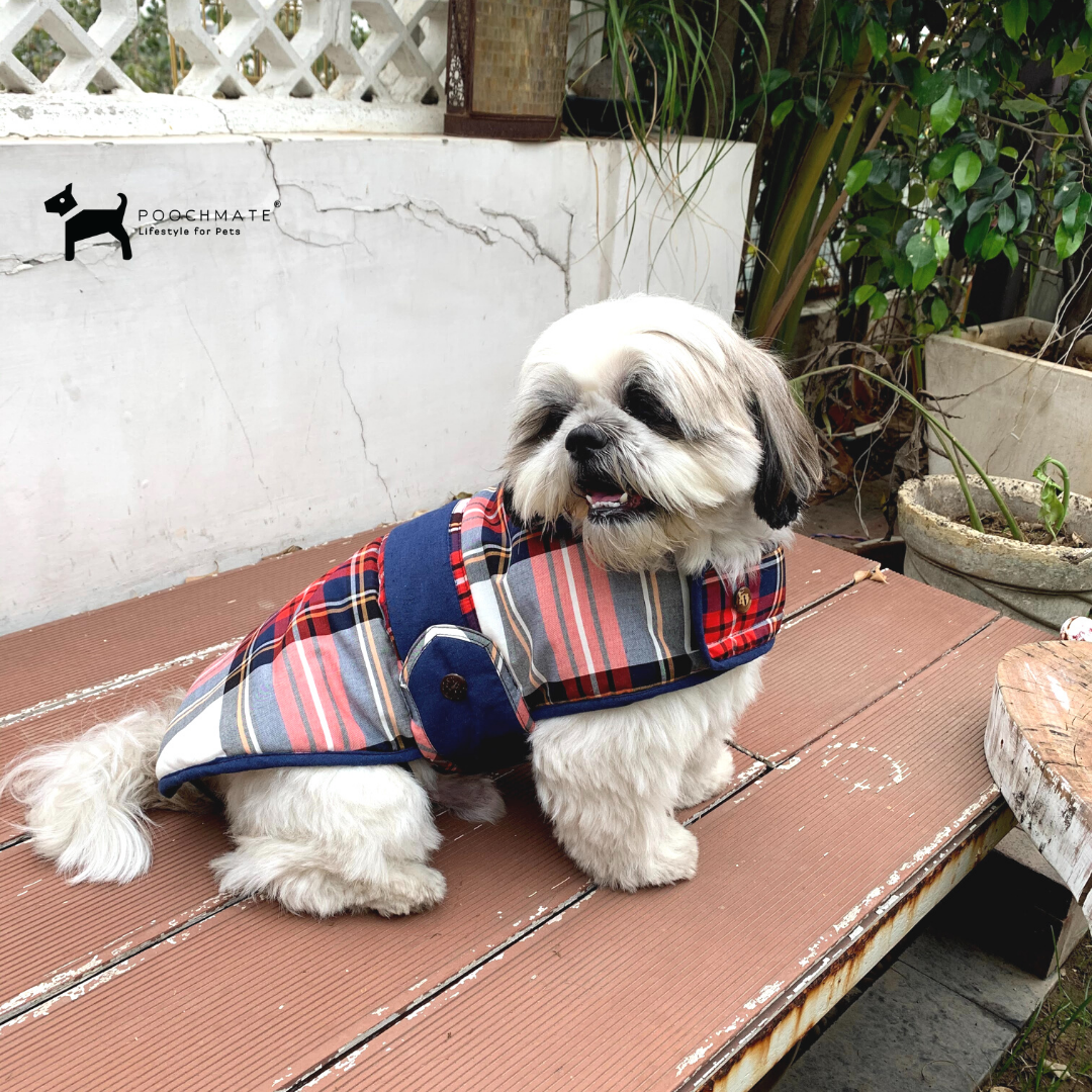 Dog winter jackets online India | Cotton dog clothes online