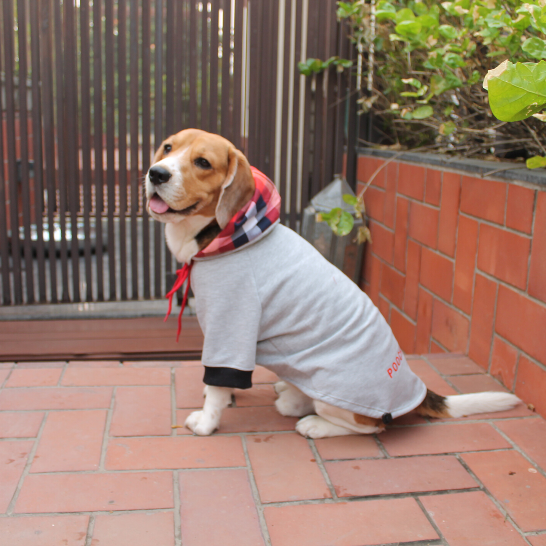 PoochMate Melange Tartan Dog Sweatshirt