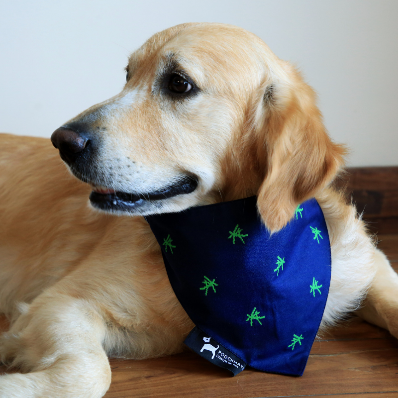 PoochMate Mandarin Bandana - Green & Navy