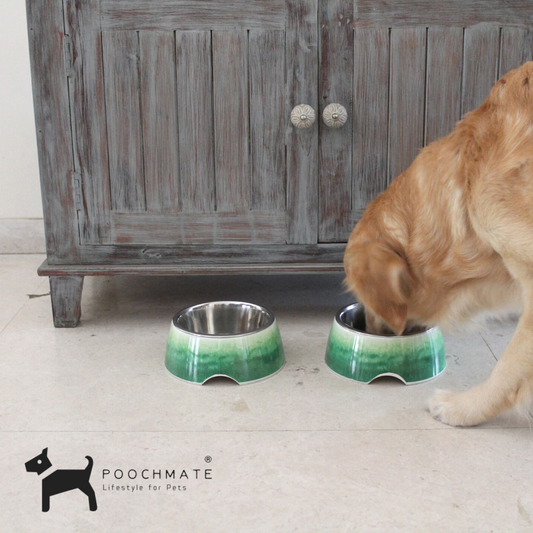 PoochMate Cloudy Melamine Dog Bowl - Green