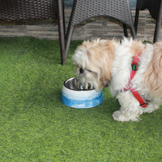 PoochMate Cloudy Melamine Dog Bowl - Blue