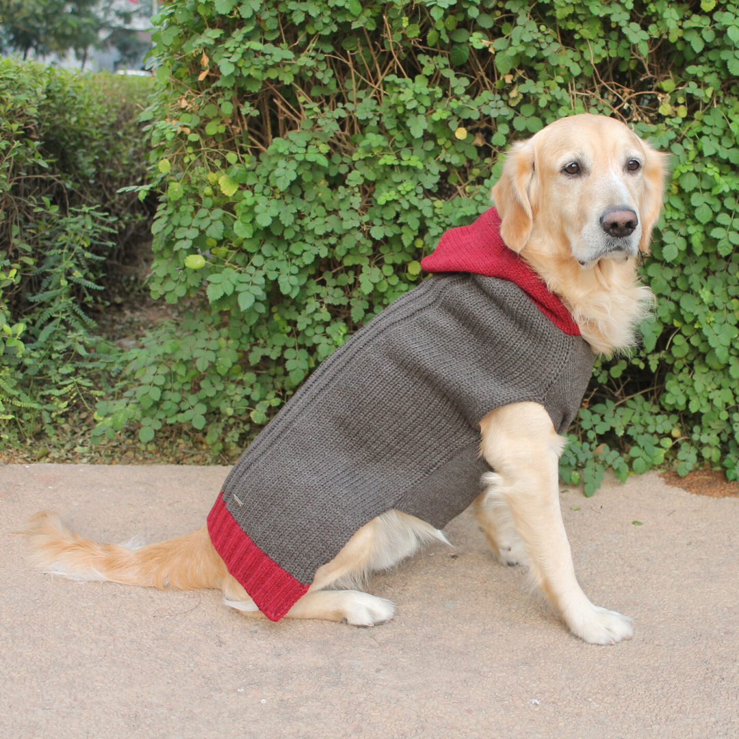 PoochMate Milano Hooded Dog Sweater - Sawdust