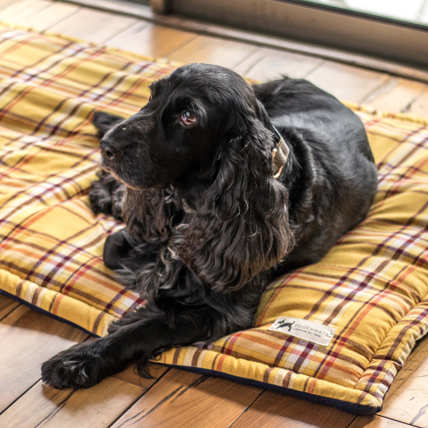 PoochMate Mustard Plaid Dog Mat