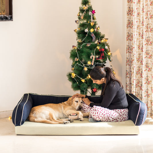 Orthopedic dog bed online india | memory foam dog beds 