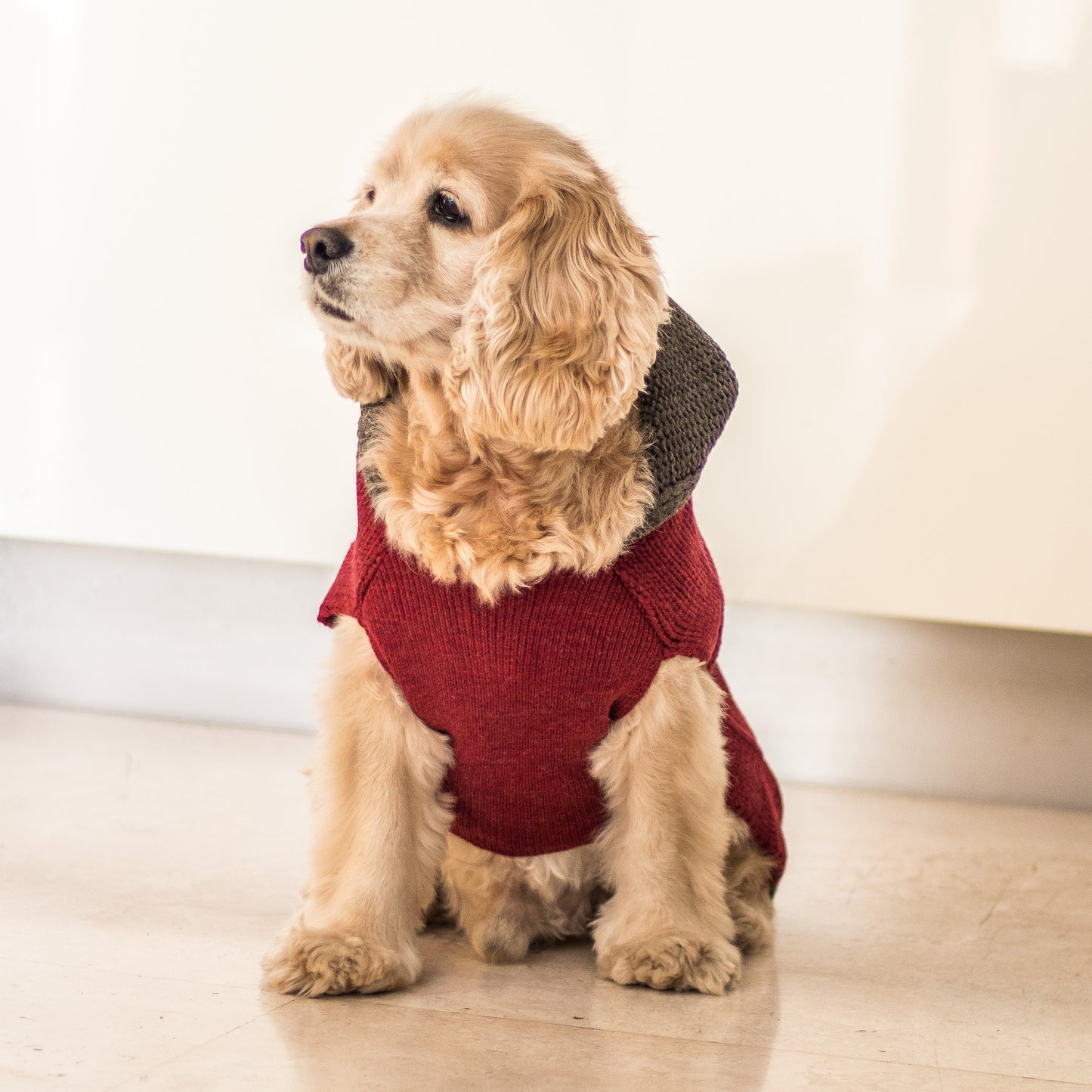PoochMate Milano Hooded Dog Sweater - Maroon