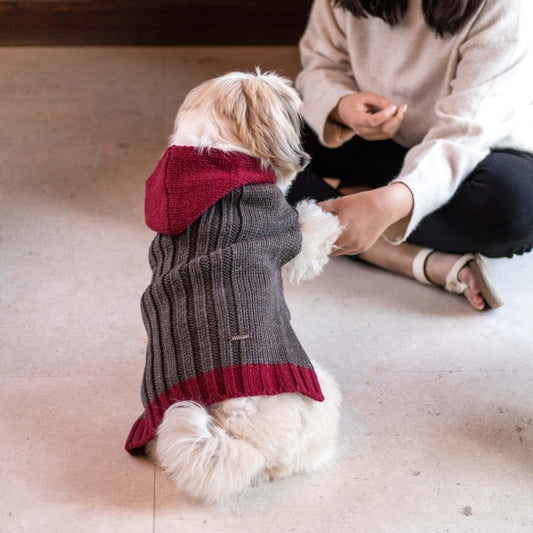 PoochMate Milano Hooded Dog Sweater - Sawdust