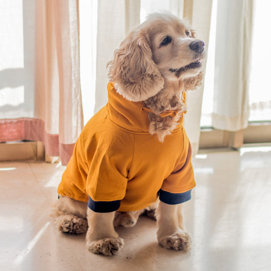 dog sweatshirts | dog hoodies online india