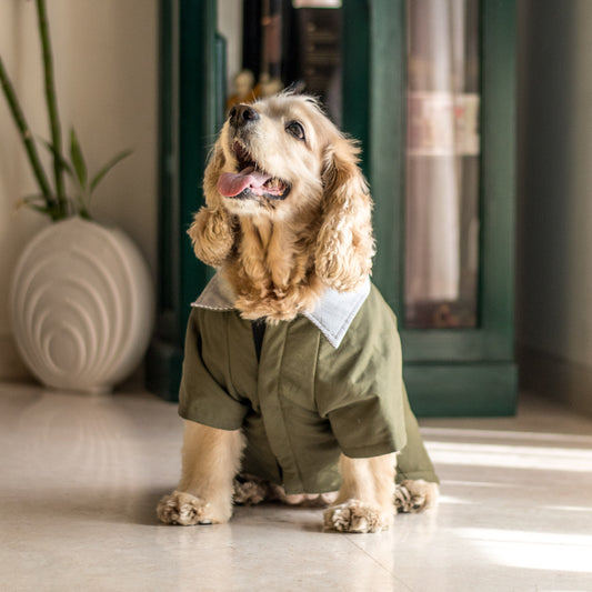 PoochMate Berlin Winter Quilted Dog Jacket - Olive
