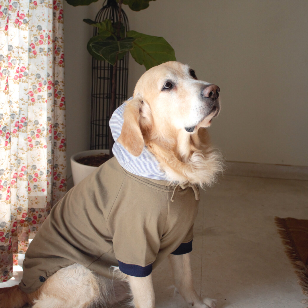 Online winter dog clothes | Dog sweatshirts