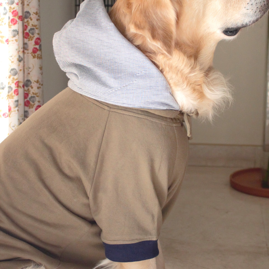 Dog sweatshirts online | Cotton dog clothes online | PoochMate