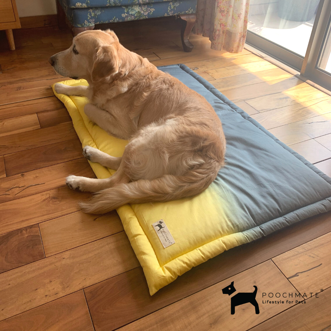 PoochMate Ombre Charcoal-Yellow Dog Mat