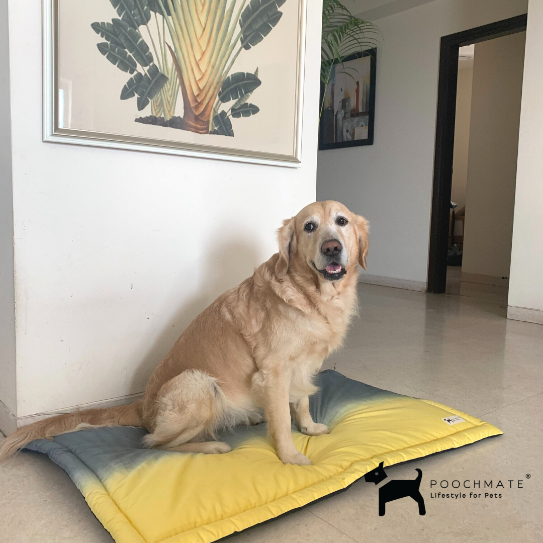 Buy cotton dog mats online | Online pet store India 