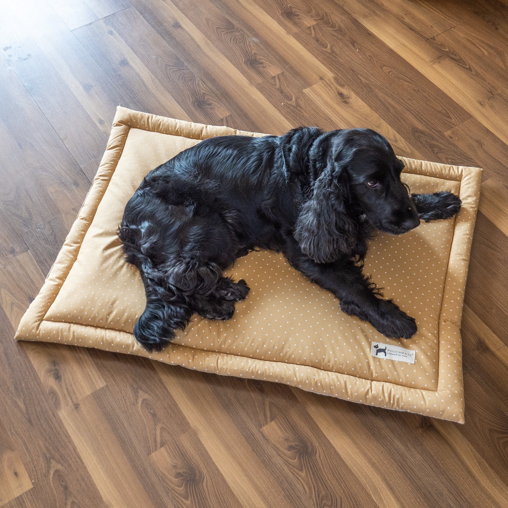 Pet Mats | Crate Mats for Dogs | PoochMate | Dog floor mats