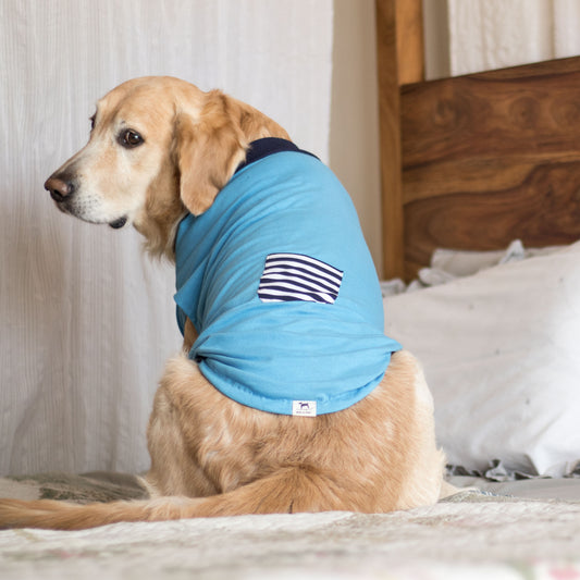 Summer Dog Clothes | Dog T Shirts Online India