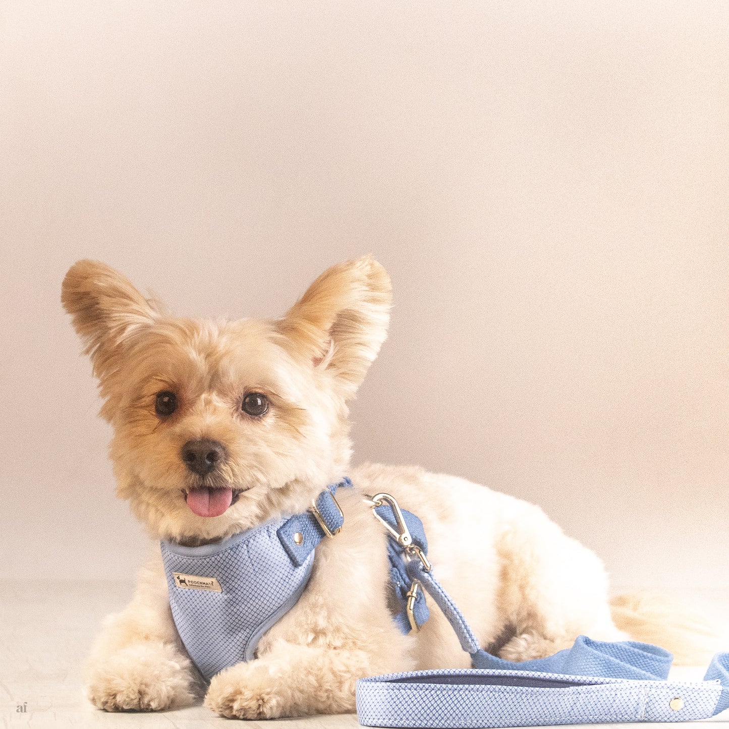 Dog harness & leash set | Cotton dog harness online India