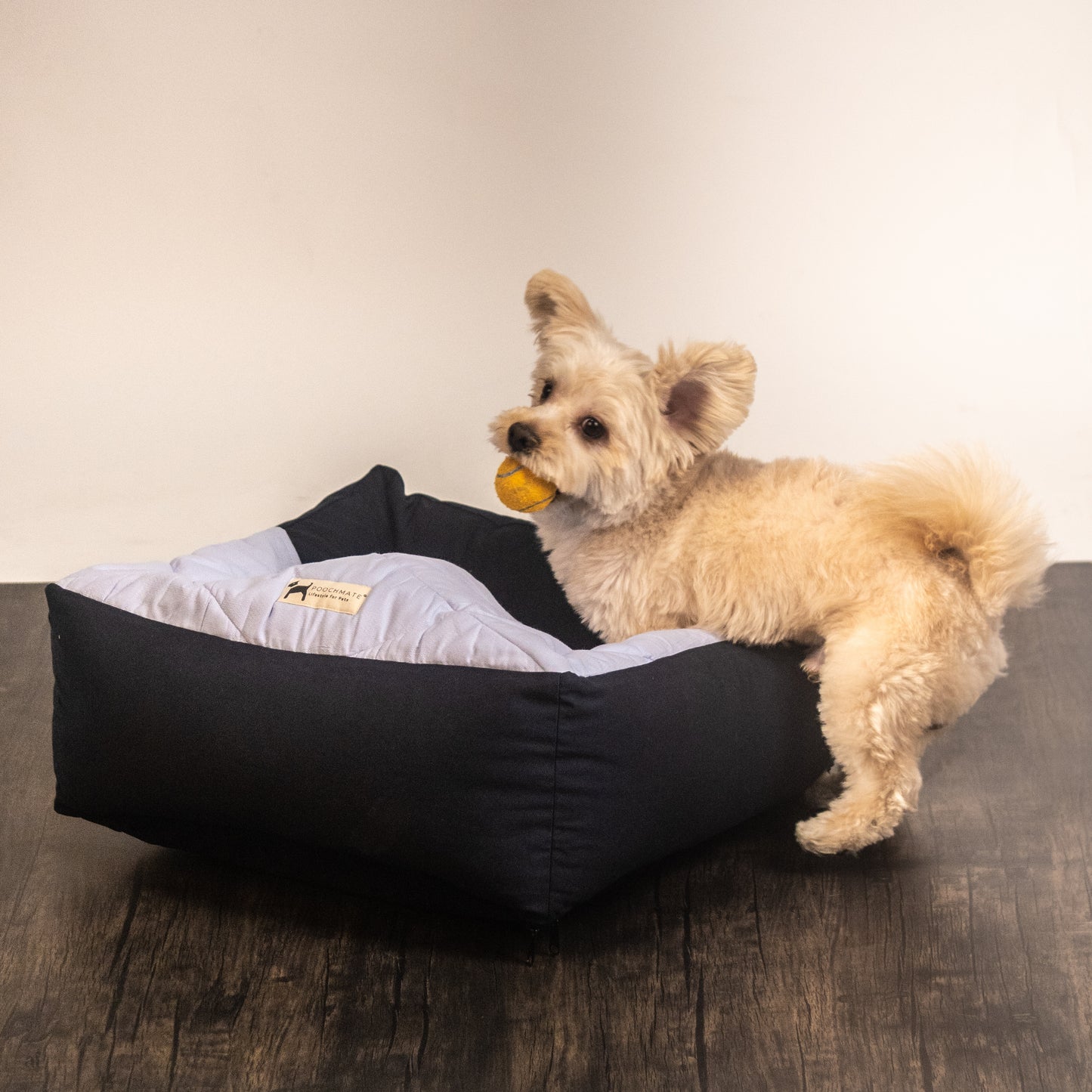 Beds for small dogs | Washable small dog beds online India
