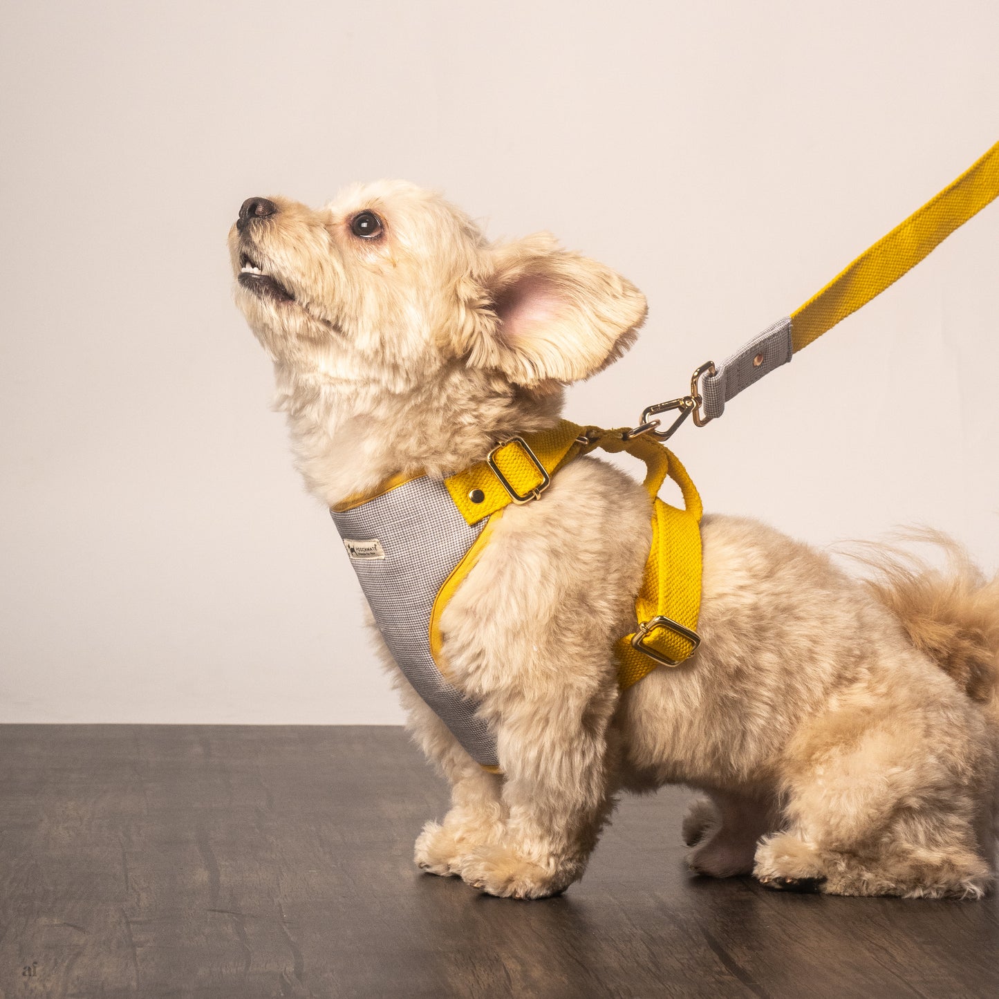 PoochMate Dog Harness & Leash Set | Yellow Dog Harness