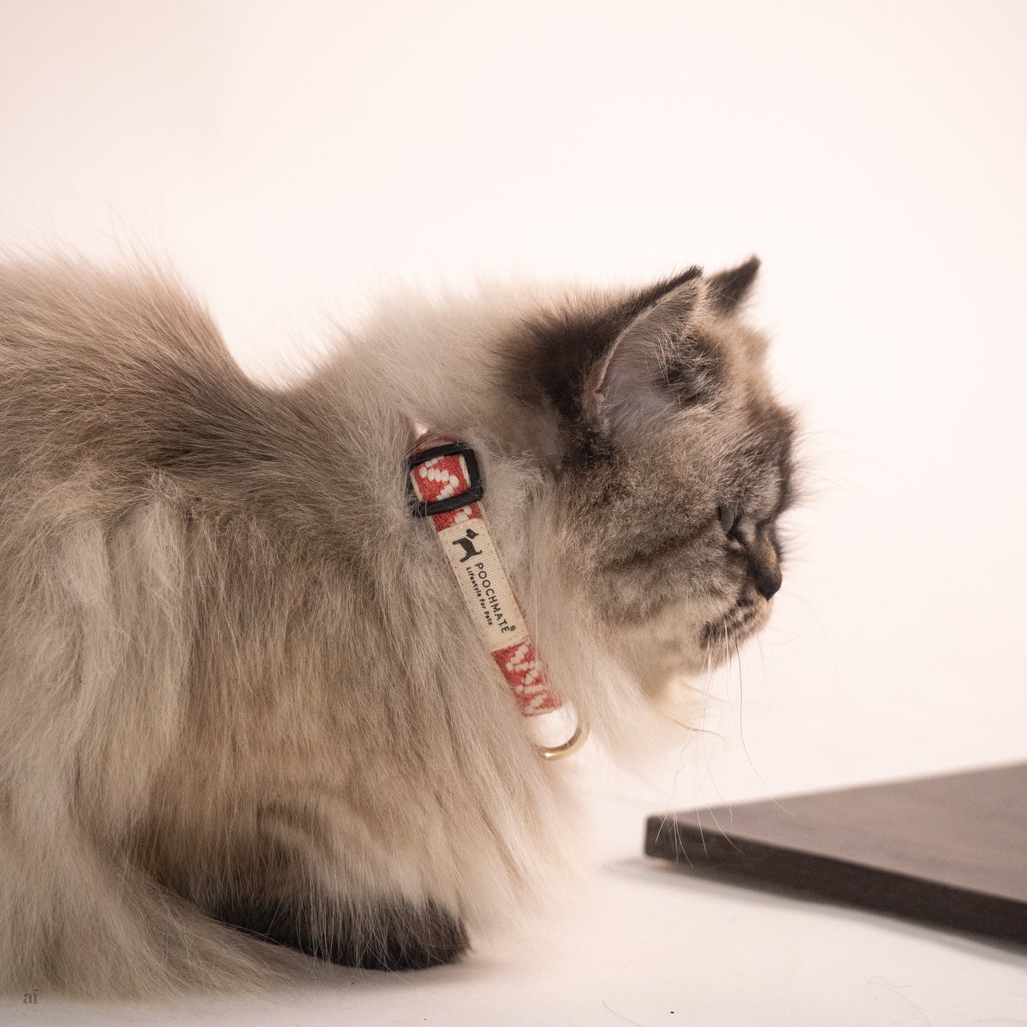 Soft Cat Collars India | Cotton cat Collars India