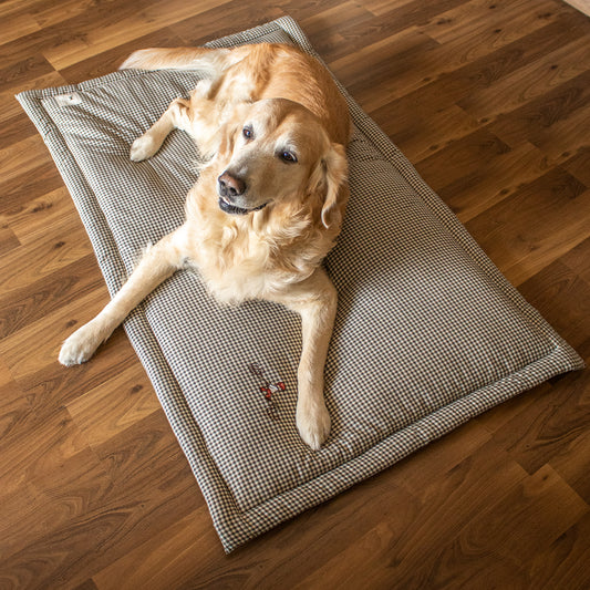Cotton pet mats online India | Washable floor mats for dogs 