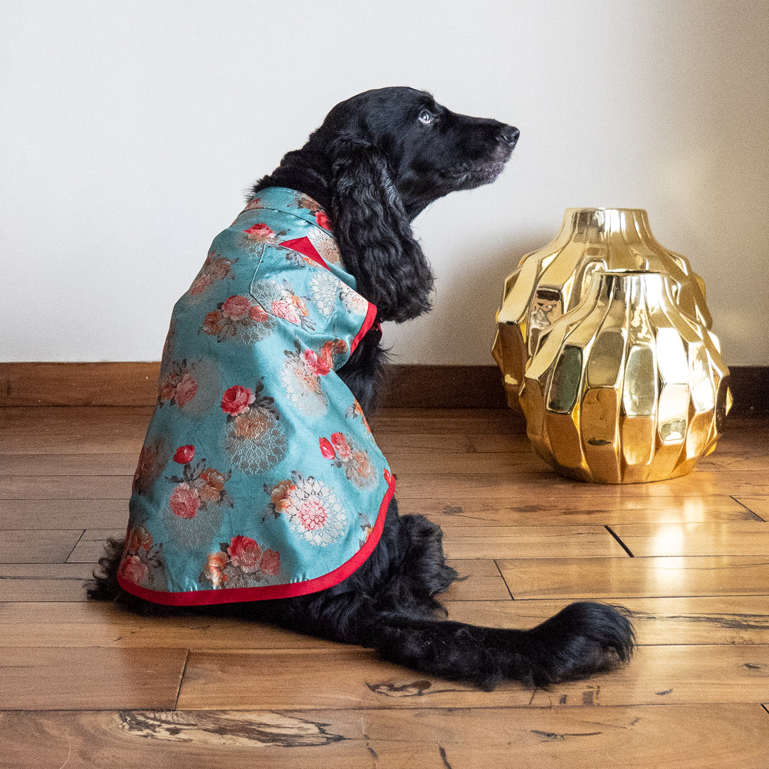 Festive clothes for dogs India