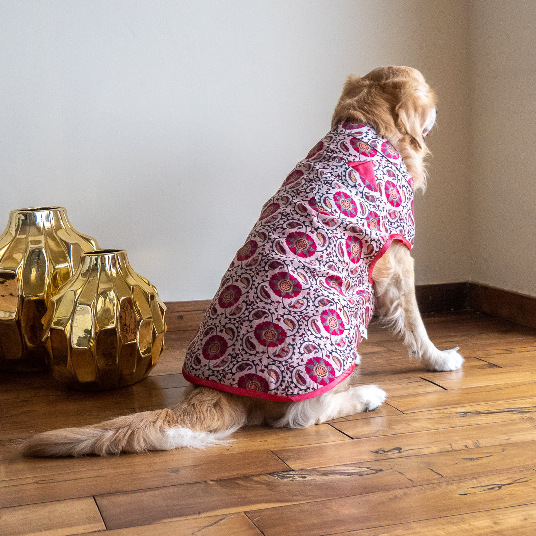 Sherwani for Dogs | Festive dog clothing online India