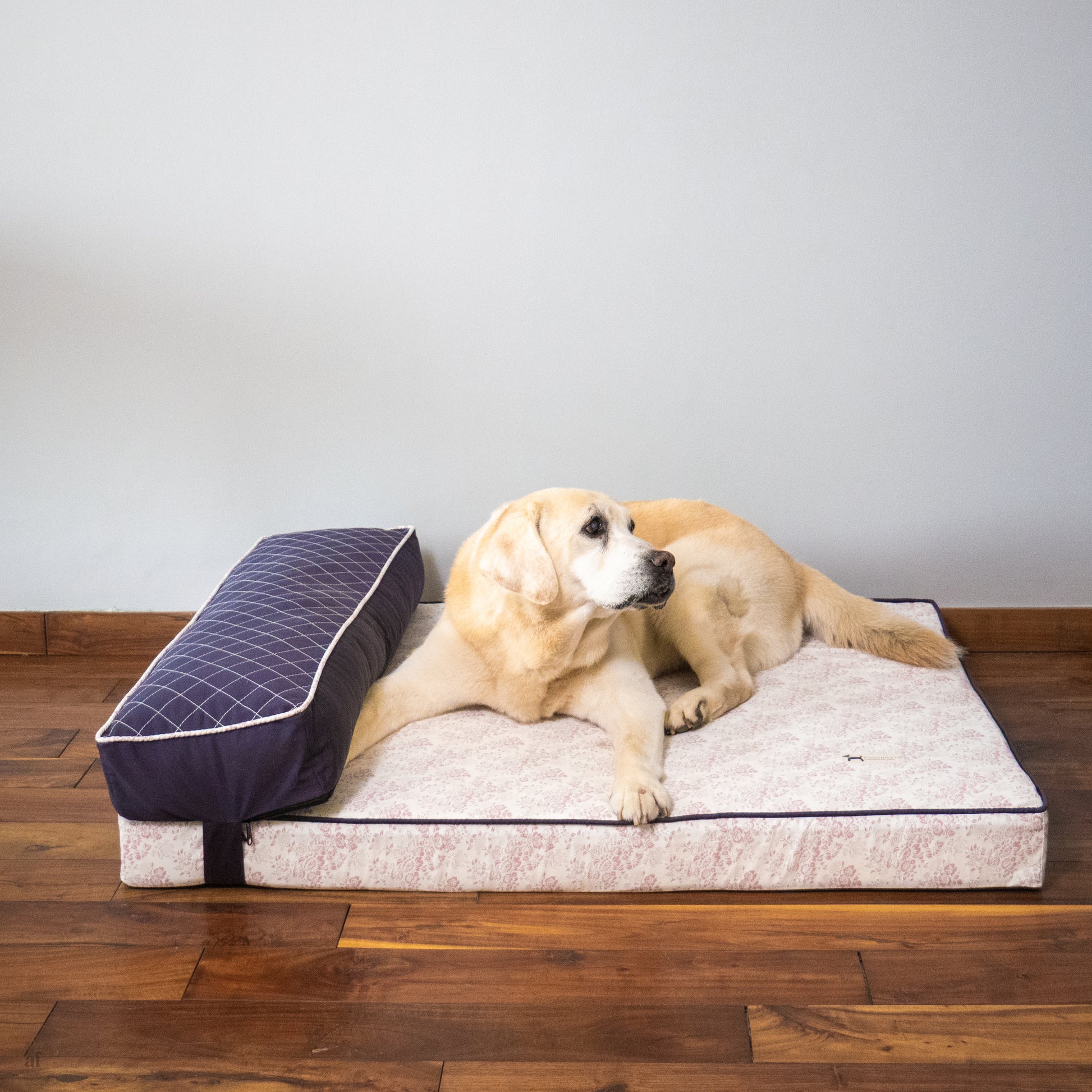 Memory Foam Dog Beds Online India| Orthopedic Dog Beds India