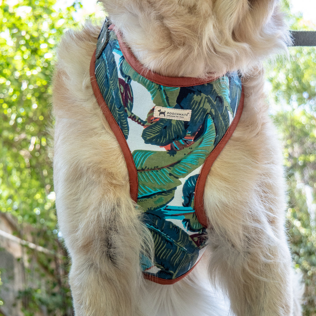 Best dog harness online India | Cotton dog harness online India