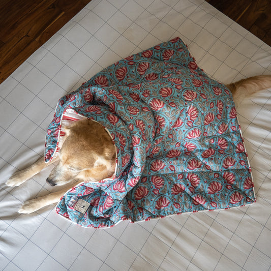 Puppy blankets online India | Dog Blankets India