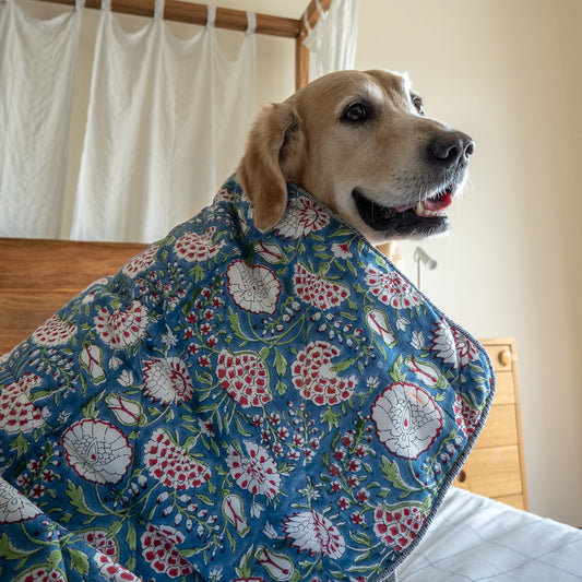 Cotton Dog Blankets online India | PoochMate X Ekam Dog Blankets