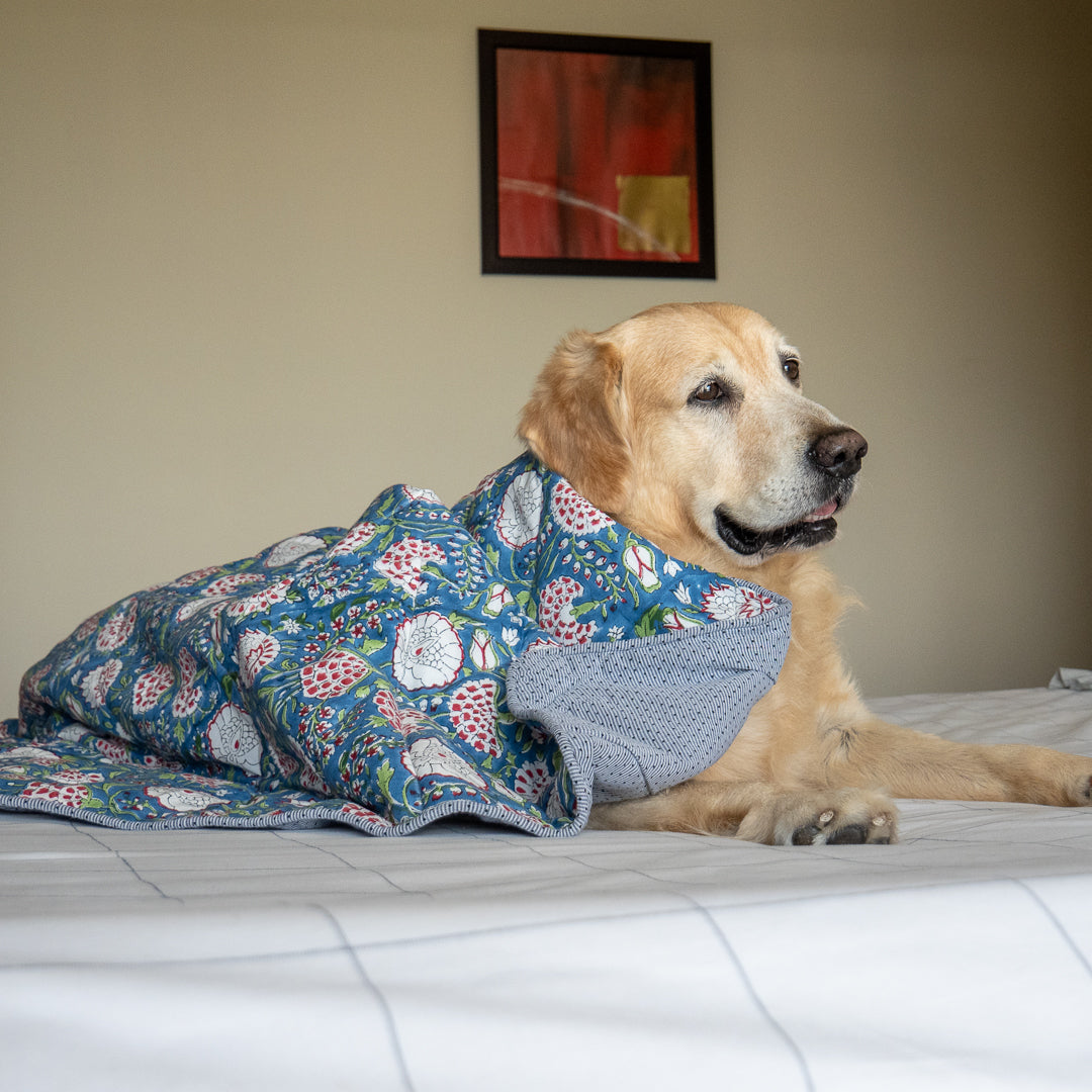 Cotton puppy blankets online India | Dog Blankets India