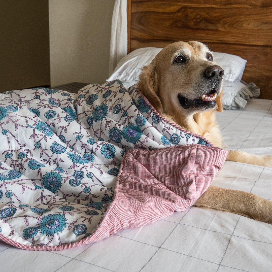 PoochMate Dog Blankets| Cotton blankets for dogs India