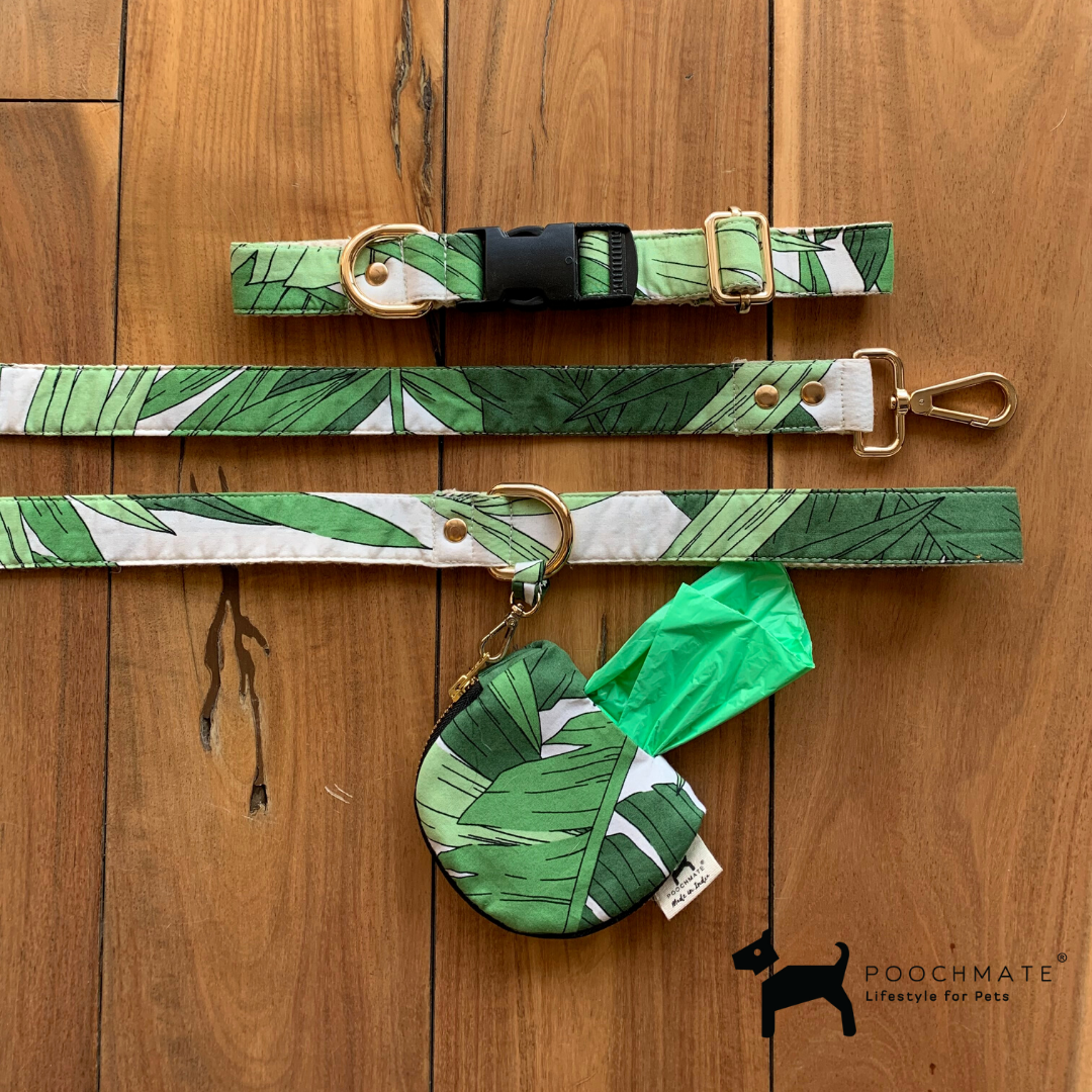 PoochMate Palm Dog Collar Set