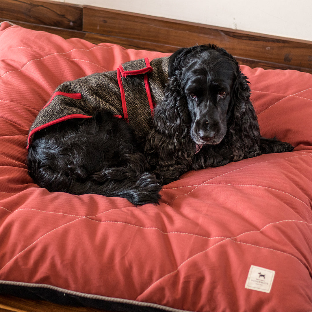 PoochMate Coral Quilted Pillow Dog Bed