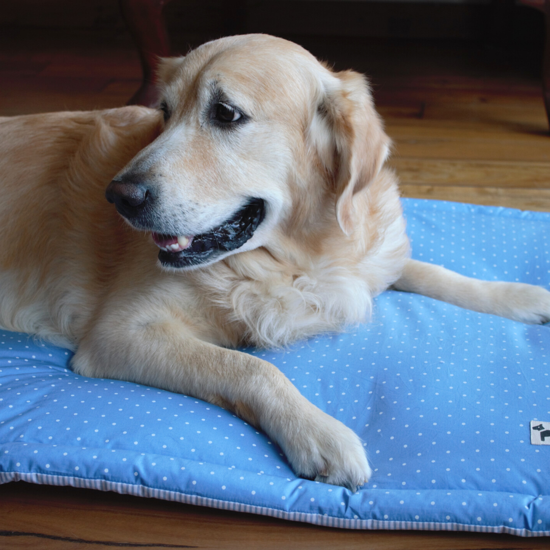 PoochMate Blue Polka Cotton Dog Mat