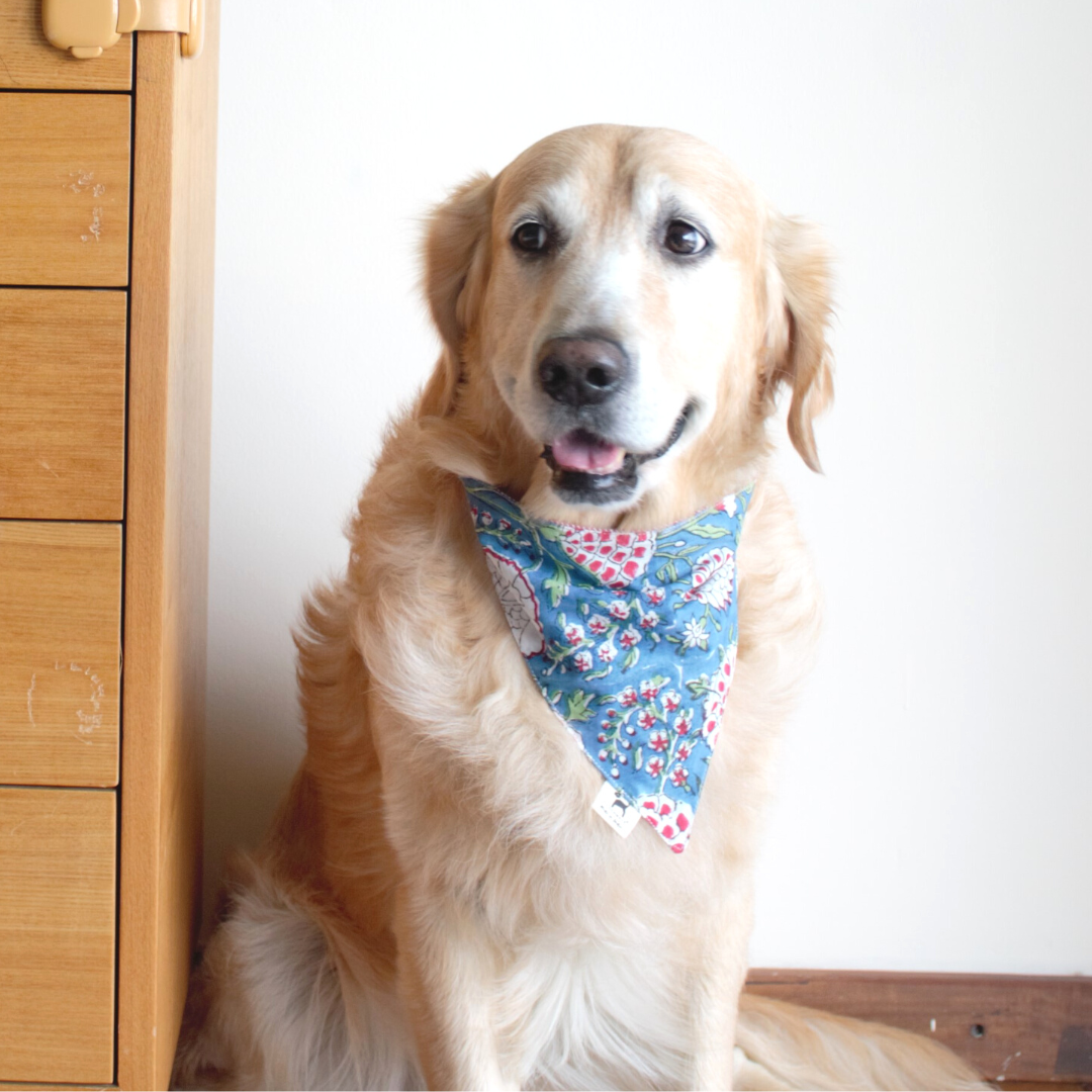 PoochMate X House of Ekam : Pomegranate Dog Bandana