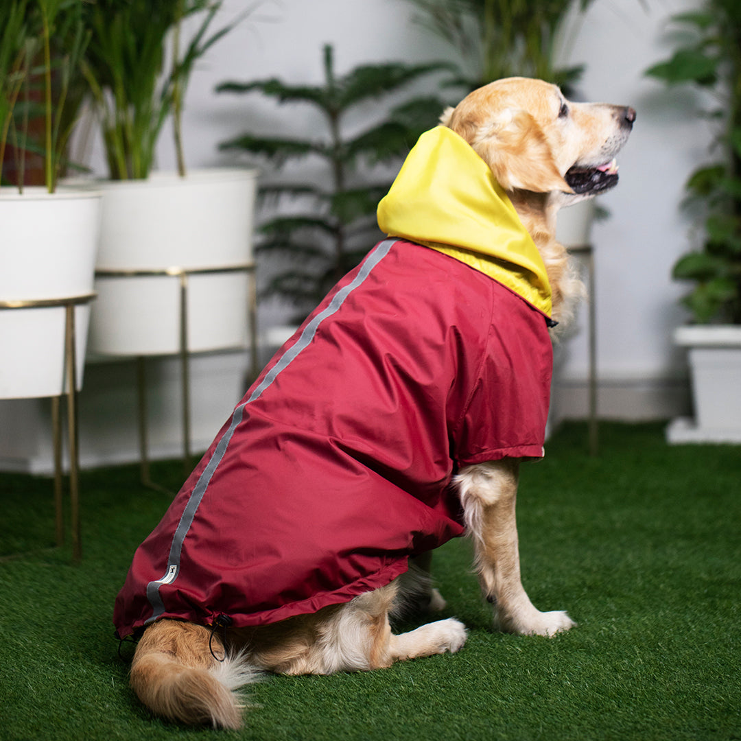Buy Dog Raincoats online in India | Best raincoats for dogs India