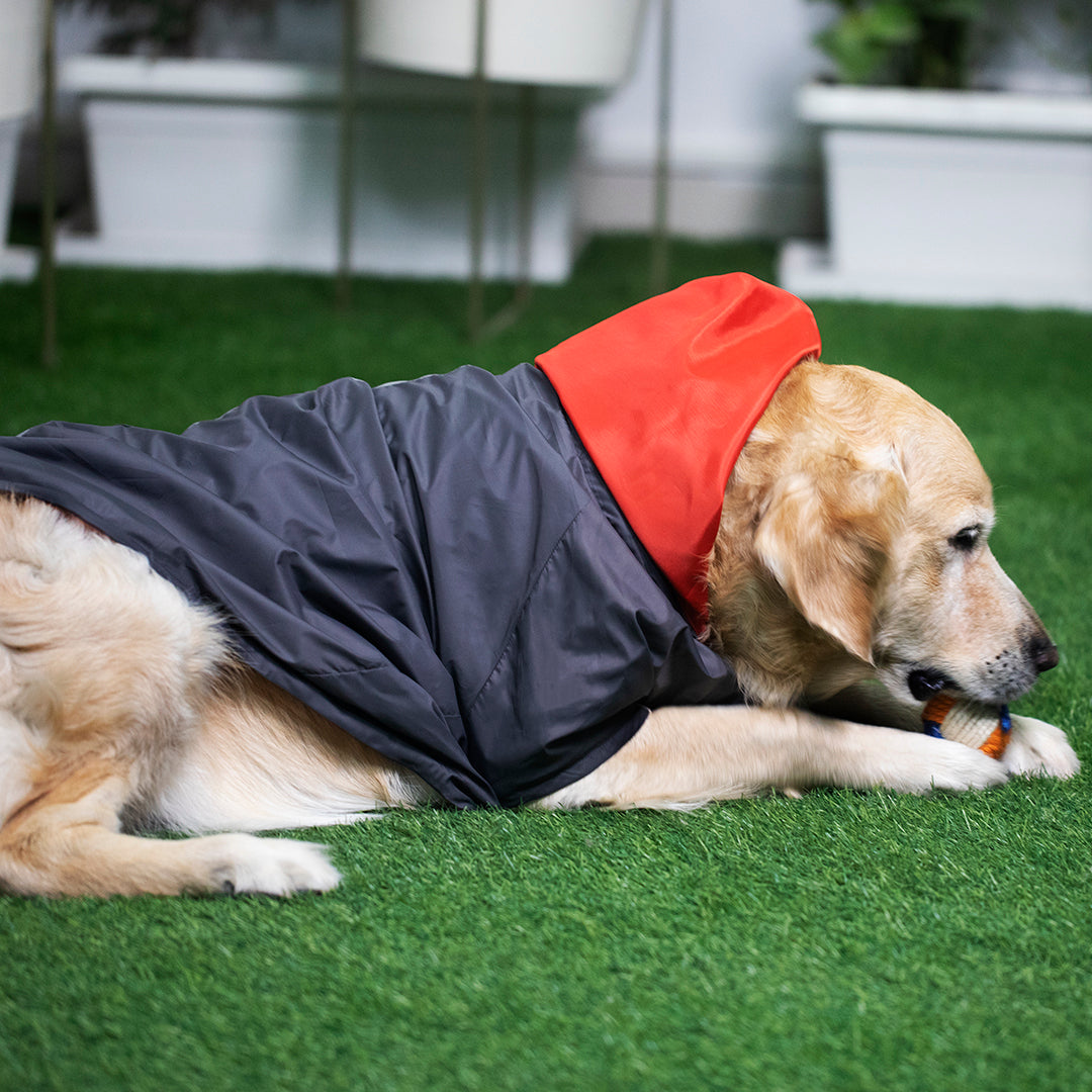 Waterproof Dog Raincoats online India