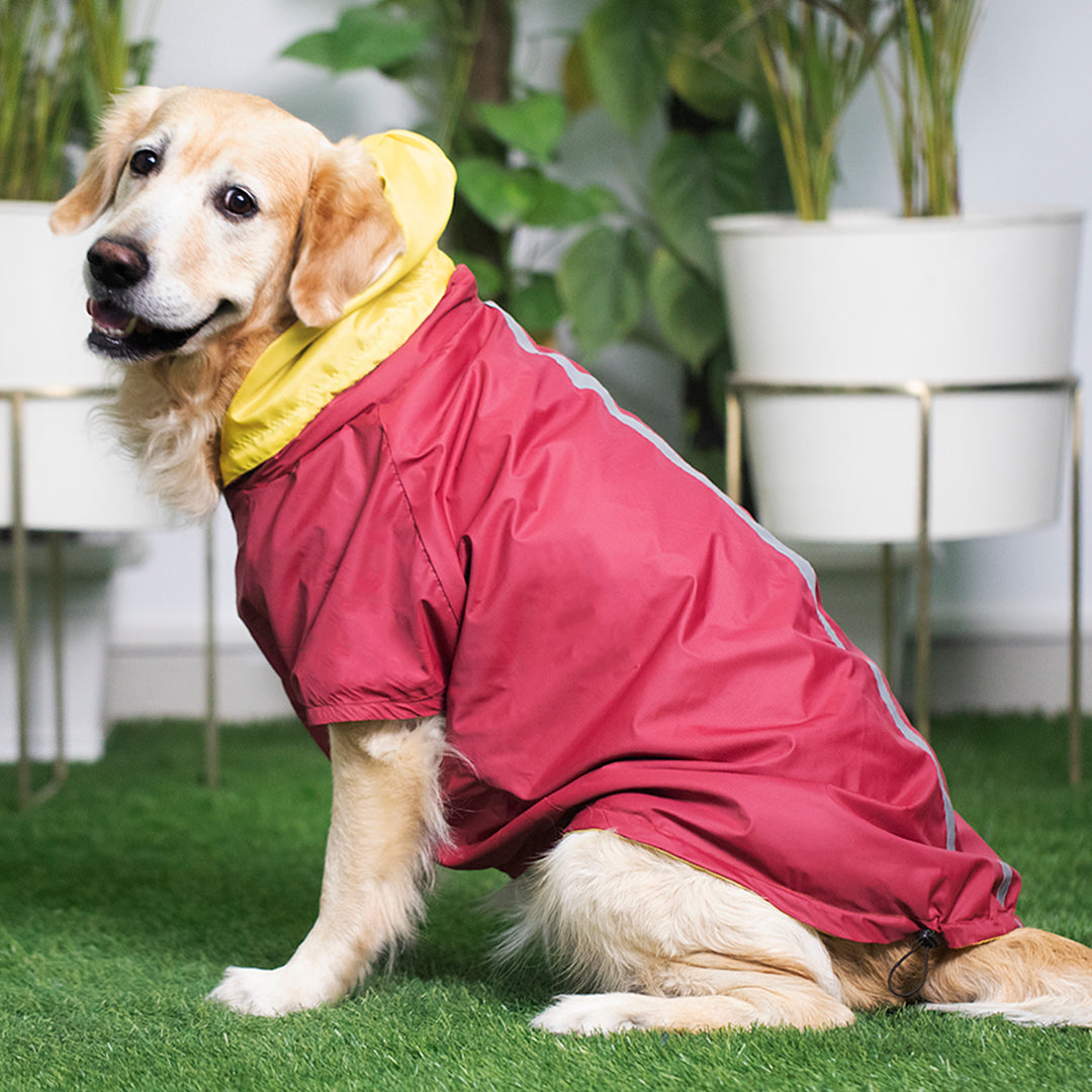 best dog raincoats online India | PoochMate Raincoats