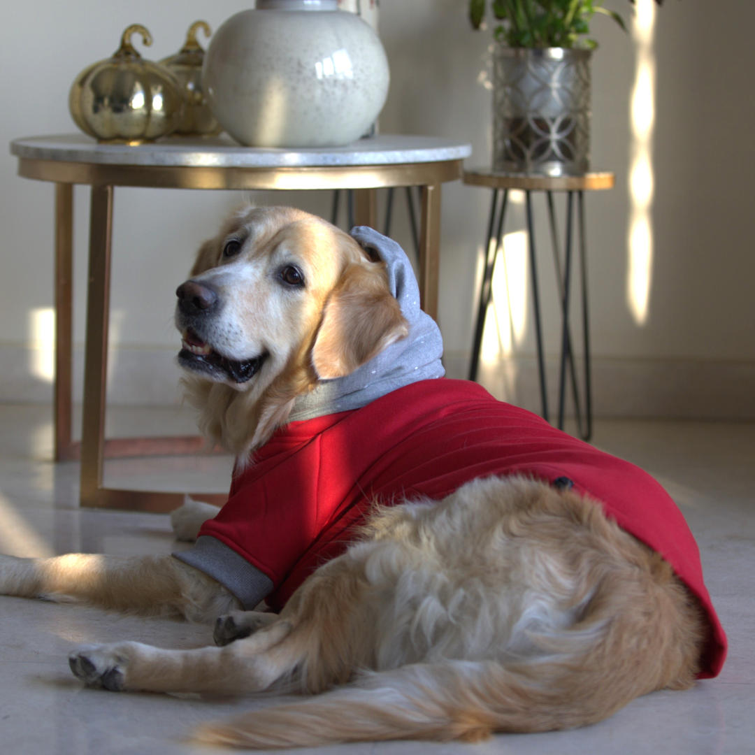 Dog Hoodies | Dog Sweatshirts Red | Winter Dog Clothes India
