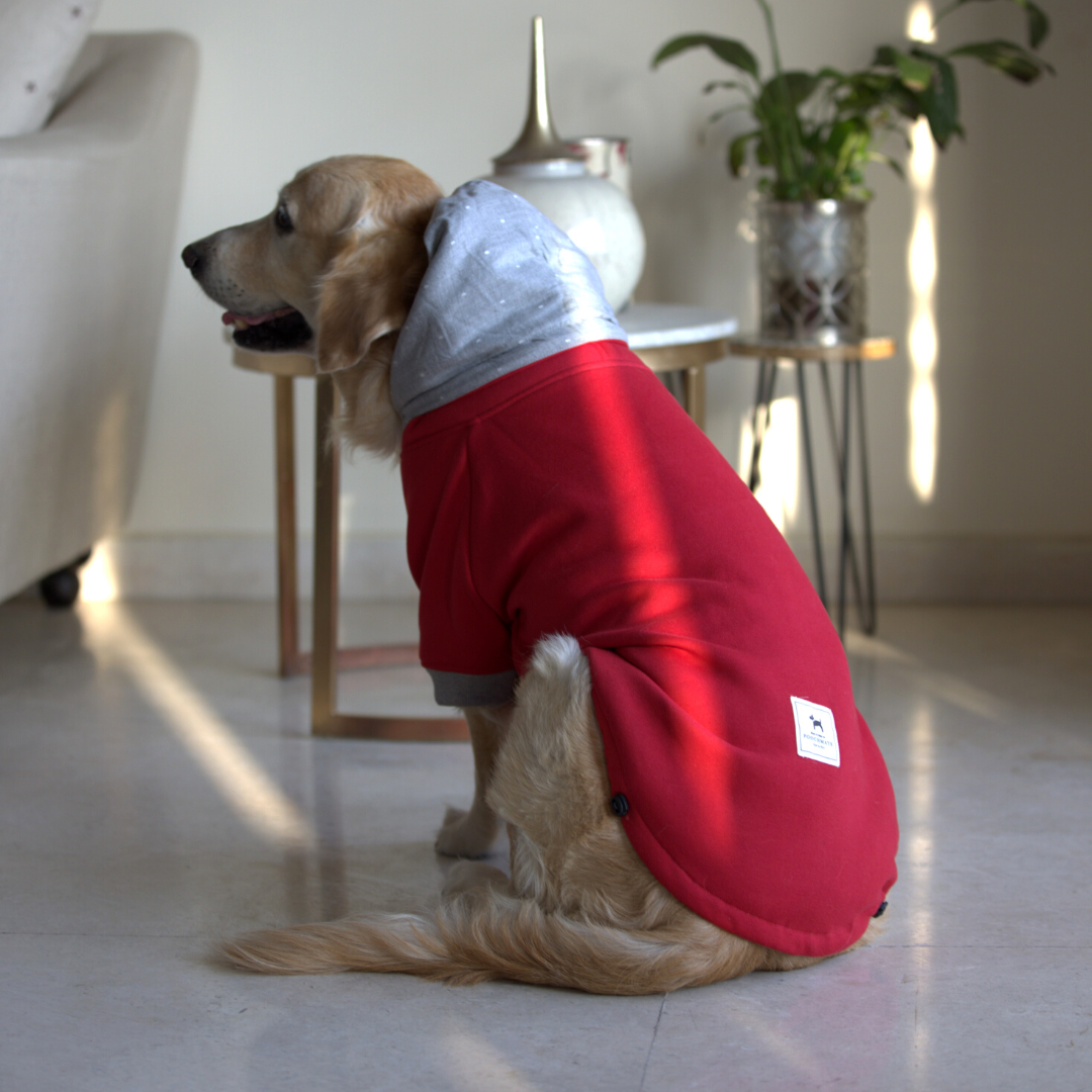 Dog hoodie for Labrador| Dog Clothes for winter