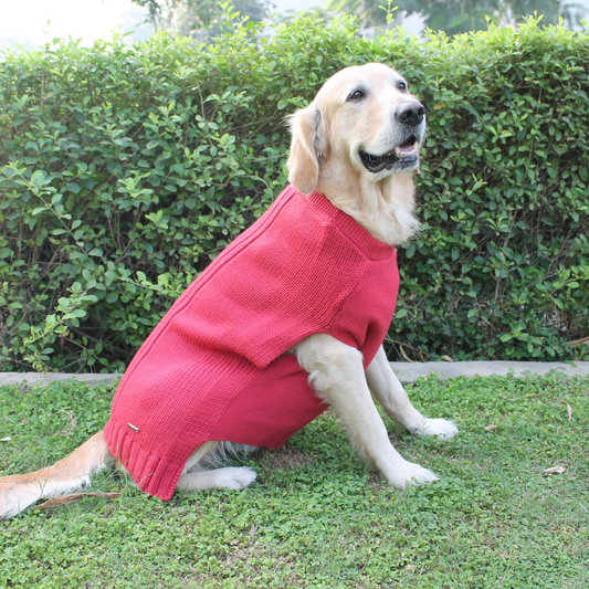 PoochMate Snug Bug Sweater - Rose