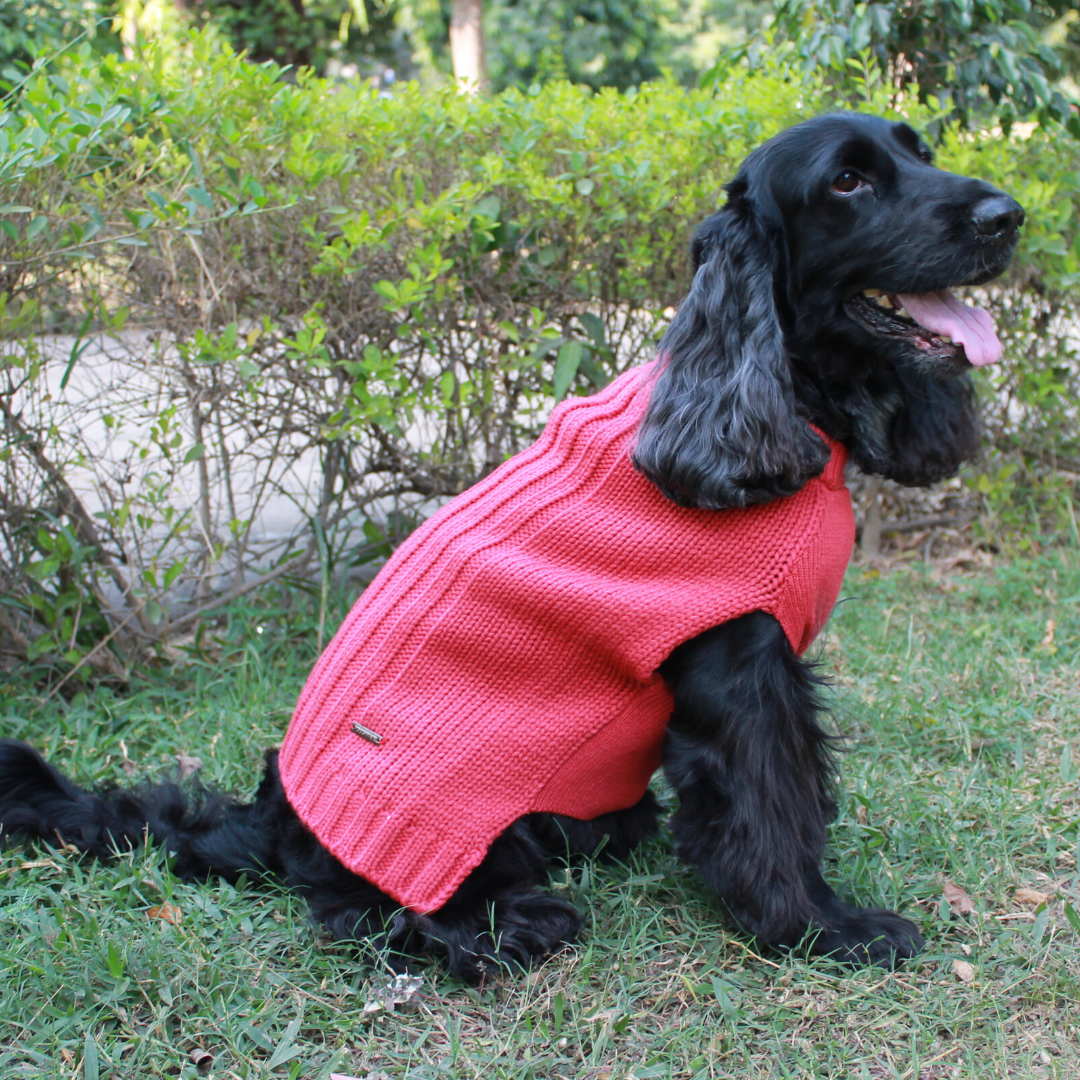 PoochMate Snug Bug Sweater - Rose