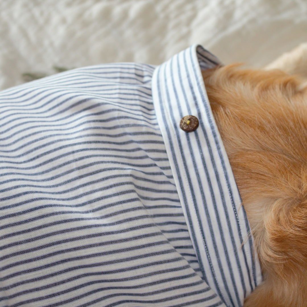 Summer dog clothes online | Light dog clothing