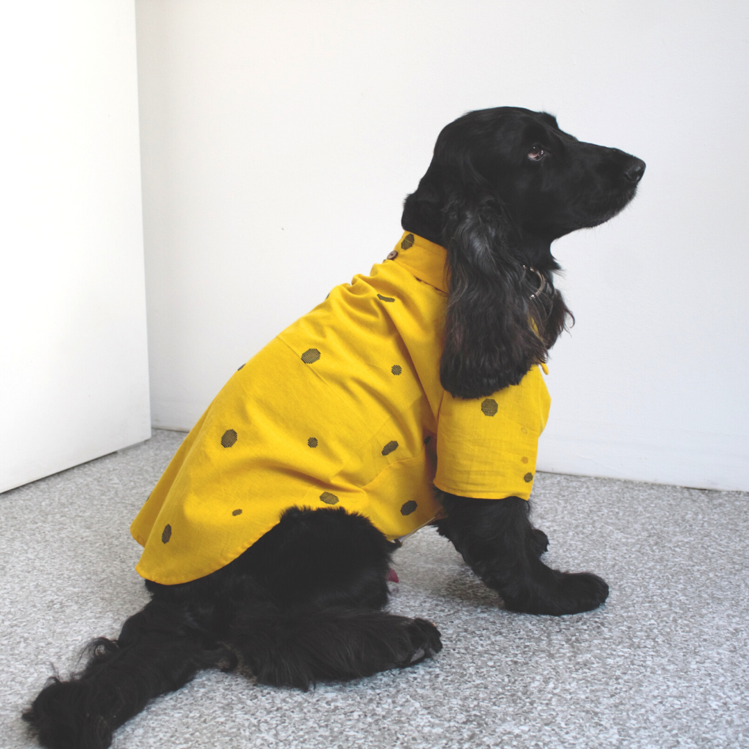 Sumer clothes for pets | Small dog clothes online India