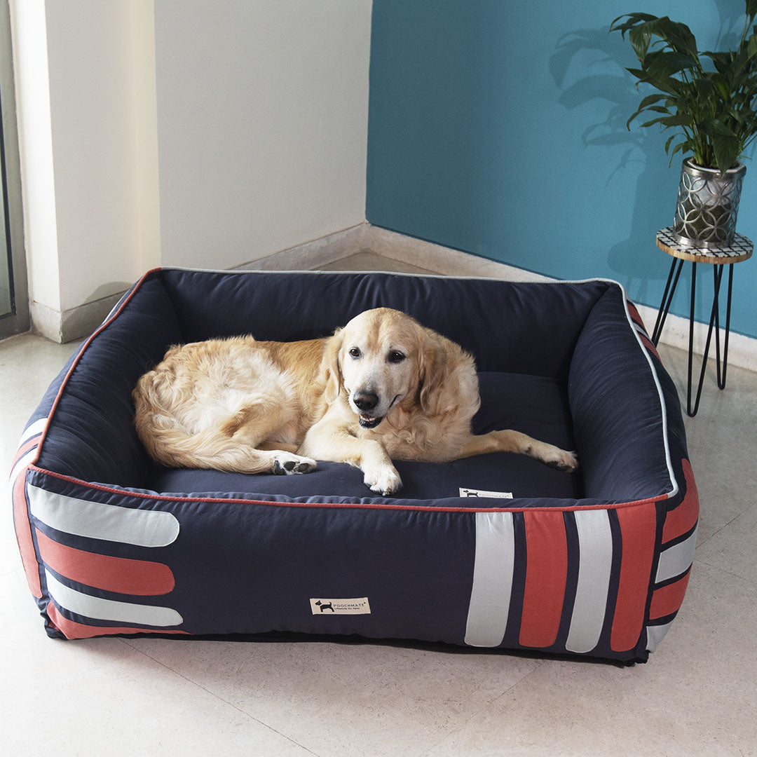 Beds for Golden retriever | beds for large dogs in India