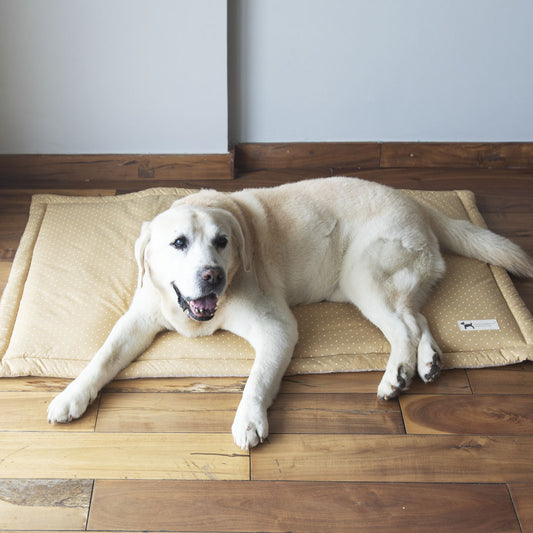 Pet Mats - Dog mats for all breeds, sizes and ages